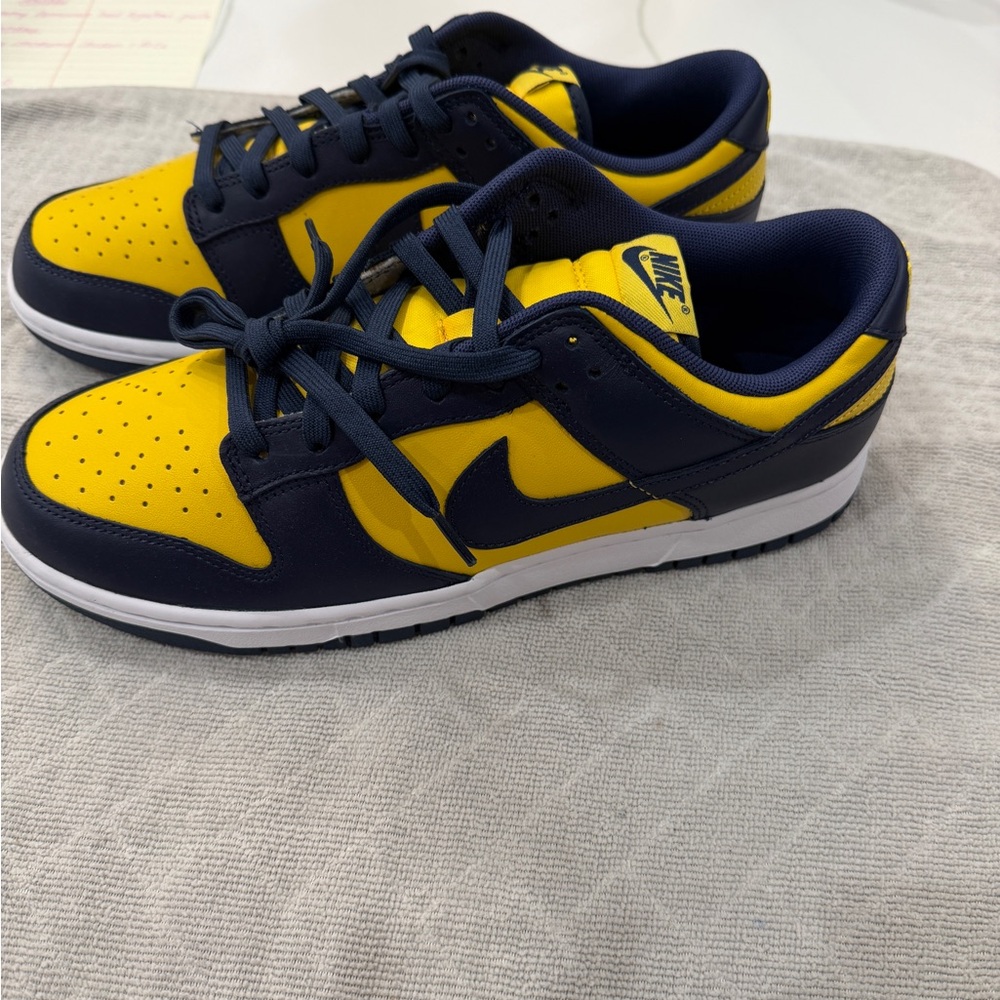 Men’s Nike Low Dunks Sz 10.5 New WO Box